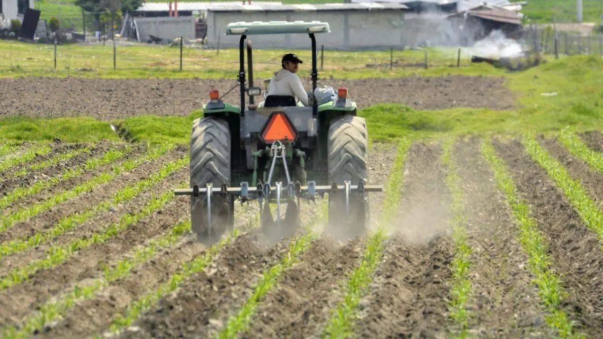 campo mexiquense 